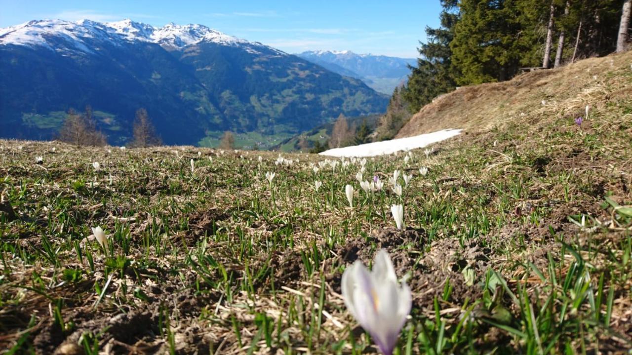 Haus Binder Hotel Ried im Zillertal Kültér fotó